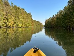 -上海海湾国家森林公园