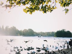 -海德公园