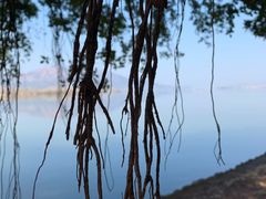 -西昌邛海湿地