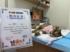 -达爱动物医院·犬猫分区·CT·复杂眼科(远洋山水分院)
