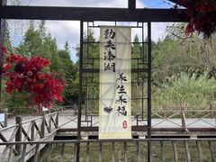 -溱湖国家湿地公园