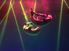 -芜湖新华联大白鲸海洋公园