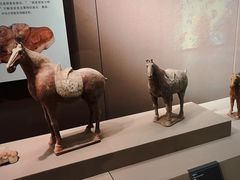 -西安大唐西市博物馆