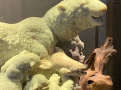 -福建省非物质文化遗产博览苑