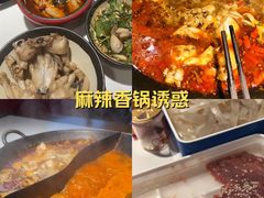-老天桥蛙炉火锅(姑苏总店)