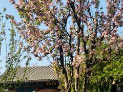 -海棠花溪(元大都城垣遗址公园)