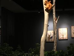-半悦牛排(龙湖西宸天街店)