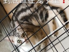 -平行世界·猫咖(首经贸店)