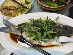 清蒸泉水鱼-成惠食府(赤岗店)