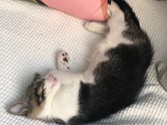 -厦门良筑精品酒店(厦门中山路店)