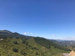 -灵山