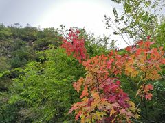 -孤山寨风景区