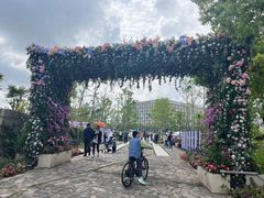 -春花秋色城市公园