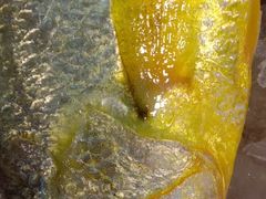 -吕四港大酒店-餐厅