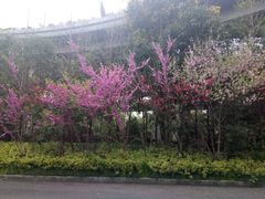 -猫的天空之城概念书店(杭州南宋御街店)