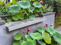 -一尺花园(安和花园店)