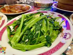 -憶廟街 X 沙角邨(太古城店)