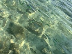 -班拉雅潜水度假村