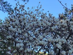 -广州市流溪河国家森林公园