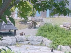 -上方山森林动物世界