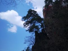 -塔云山
