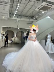 -艾米丽婚纱礼服