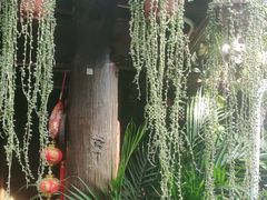 -尽善百年古院餐厅(王家老宅店)