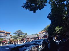 -华夏良子·足道SPA艾灸(王府井店)