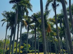 -中国科学院西双版纳热带植物园