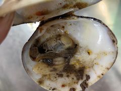 -陈小厨海鲜大咖·15年平潭味(龙王头店)