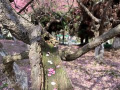 -白塘生态植物园
