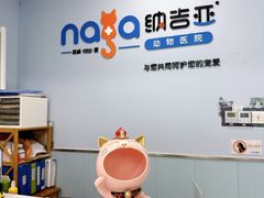 -纳吉亚猫专科动物诊疗中心(蒋宅口分院)