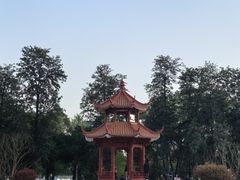 -四川大学(望江校区)