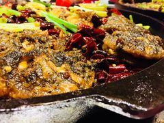 -老板恋上鱼(恒隆广场店)