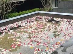 -明谷行馆·温泉