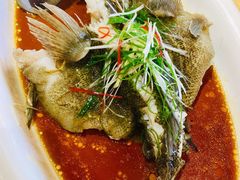 清蒸笋壳鱼-德胜轩正宗顺德菜(宝安沙井会展中心店)