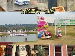 -空港花田景区