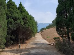 -秦始皇帝陵博物院-丽山园