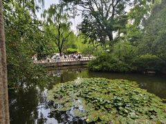 -环城公园