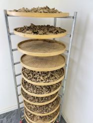 -颜囍皮肤管理&躺姜养生