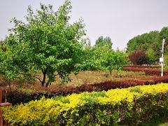 -吉林大学(前卫南区)