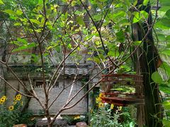 -The Flowers Coffee(南山店)