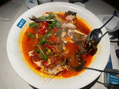 -坛宗剁椒鱼头(河西王府井店)