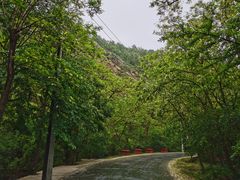 -金龙寺国家森林公园
