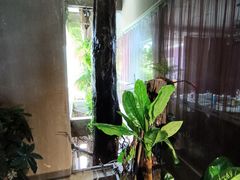 -大树头·花园餐厅(市桥店)