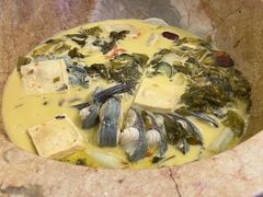 鮰鱼-云中鱼蒸汽石锅鱼(川沙百联店)