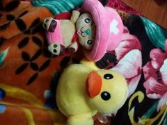 -天天玩X秋葉原日系动漫游戏中心