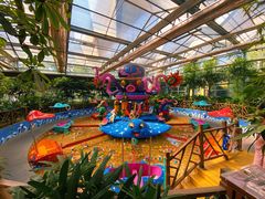 -南宫五洲植物乐园