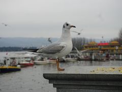 -滇池海埂公园