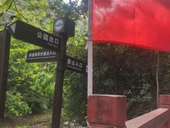 -银瓶嘴森林公园